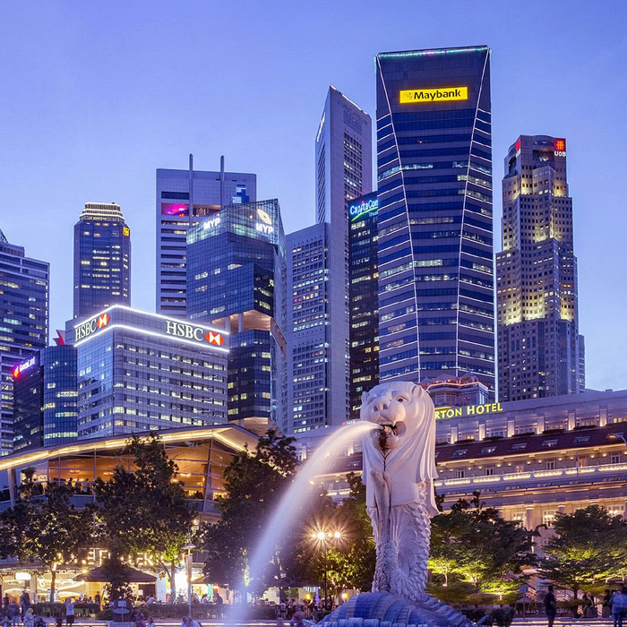 Singapore Pathway Curriculum and Support System